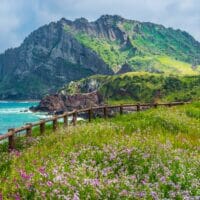 Gay Jeju South Korea Travel Guide